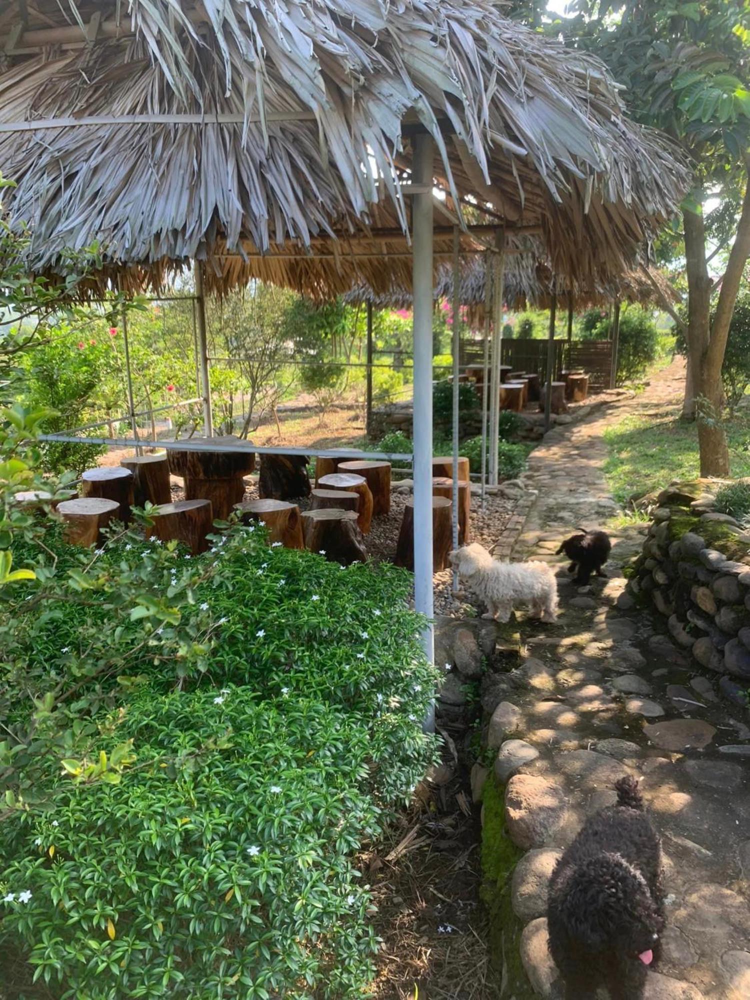 Homestay Nha Cua Mi - Mi'S House Yen Bai Exterior foto