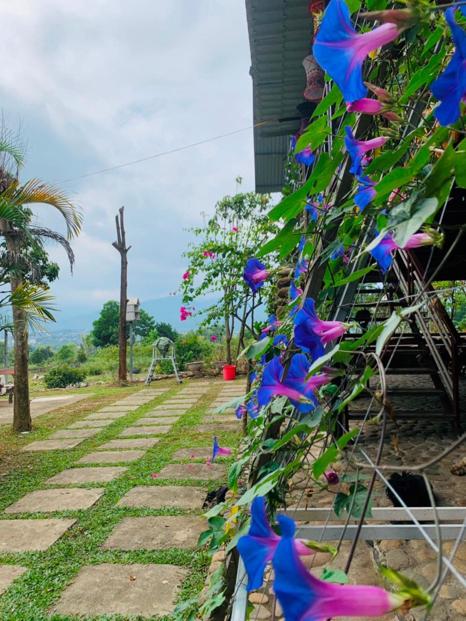 Homestay Nha Cua Mi - Mi'S House Yen Bai Exterior foto
